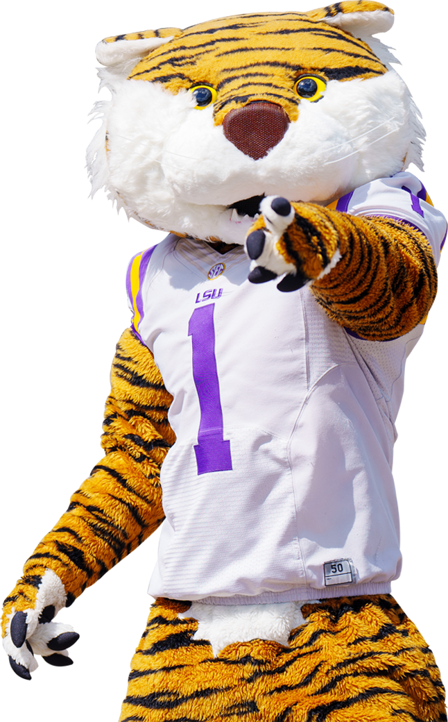 tiger